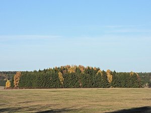 Herbst im Harz