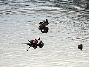 Wenig Wasser in der Talsperre