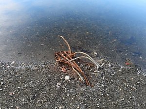Wenig Wasser in der Talsperre