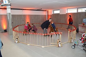 Neues Autohaus eröffnet