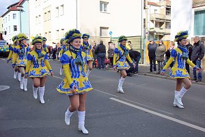 Der Rosenmontagsumzug in Sondershausen (2)