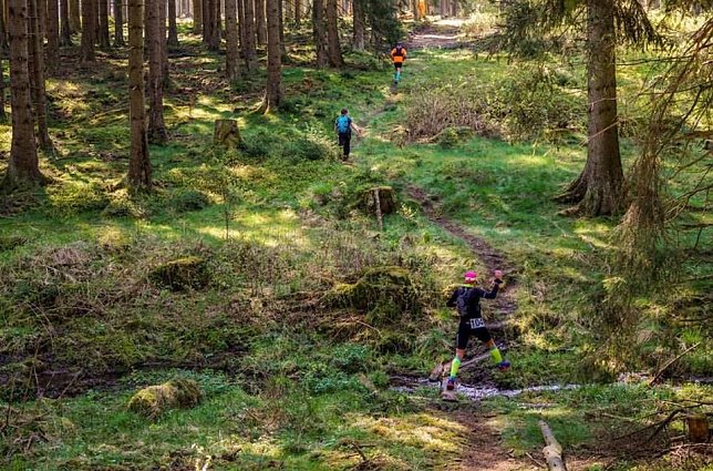 Gro&szlig;artiger MDR Osterspaziergang in Bad Frankenhausen