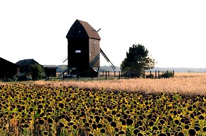 Bockwindmühle Tiefensee