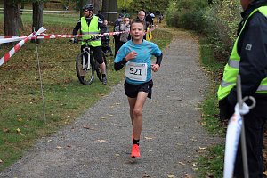 26. Stadtparklauf Sondershausen und...