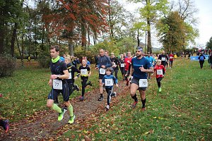 26. Stadtparklauf Sondershausen und...