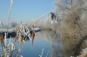 Winterzauber