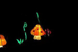 Lichterwelten