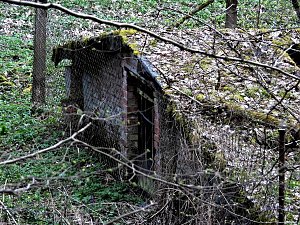 Unterwegs im Brandesbachtal