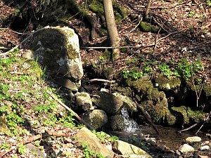 Unterwegs im Brandesbachtal