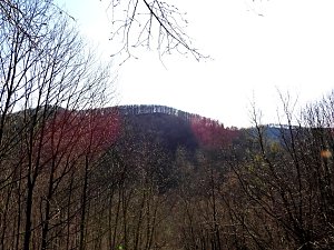 Unterwegs im Brandesbachtal