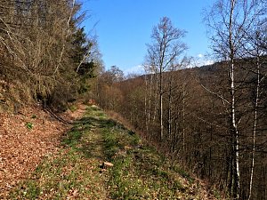 Unterwegs im Brandesbachtal