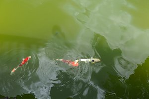 Impressionen aus Bad Langensalza
