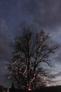 Weihnachtsstimmung in Kelbra 