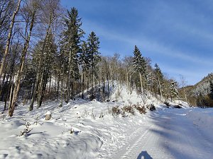 Im Brandesbachtal