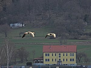 Peter Blei unterwegs am Stausee Kelbra