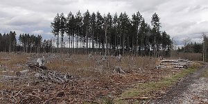 Unterwegs im Harz