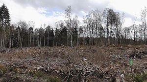 Unterwegs im Harz
