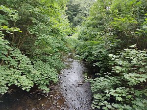 Vom Mägdesprung zum Waldgagsthof