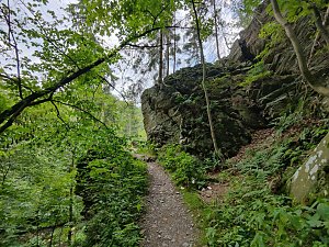 Vom Mägdesprung zum Waldgagsthof
