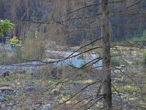 Unterwegs in Schierke