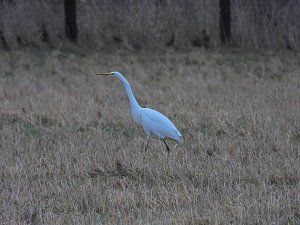 Peter Blei unterwegs am Stausee Kelbra