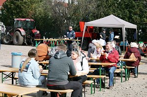 Bauernmarkt 