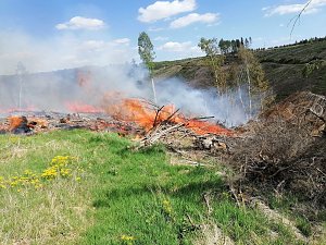 Waldbrand im Birkenmoor