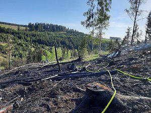 Waldbrand im Birkenmoor