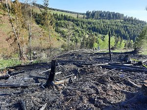 Waldbrand im Birkenmoor