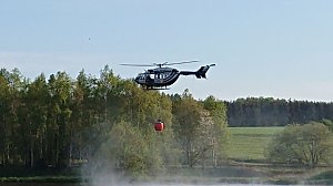 Waldbrand im Birkenmoor