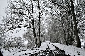Winterimpressionen aus Kelbra