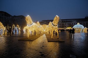 Peter Blei unterwegs in Magdeburg