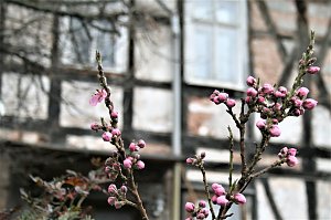 Saison eröffnet