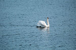 Am Stausee in Kelbra