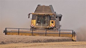 Erntezeit 