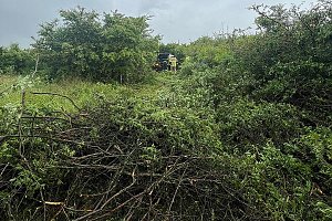 Unfall bei Nordhausen
