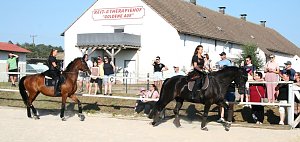 10. Landparty 