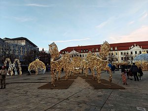 Peter in Magdeburg
