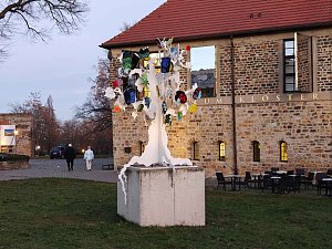 Peter in Magdeburg