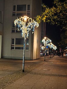 Peter in Magdeburg