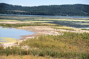 Peter Blei unterwegs am Stausee Kelbra 