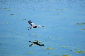 Peter Blei unterwegs am Stausee Kelbra 