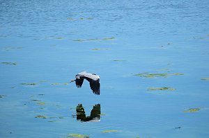 Peter Blei unterwegs am Stausee Kelbra 