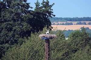 Peter Blei unterwegs am Stausee Kelbra 