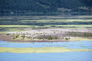 Peter Blei unterwegs am Stausee Kelbra 
