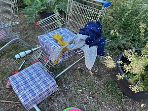 Picknick und Performance - die CircusMühle Kelbra lud am Wochenende zum gemütlichen Beisammensein