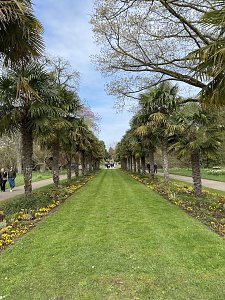 Angelegter Garten mit Springbrunnen
