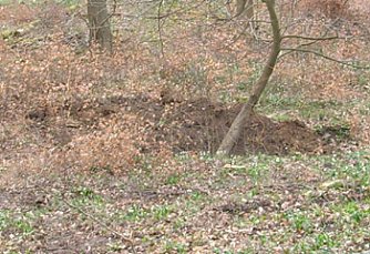 Kurz vor der Sprengung (Foto: Karl-Heinz Herrmann)