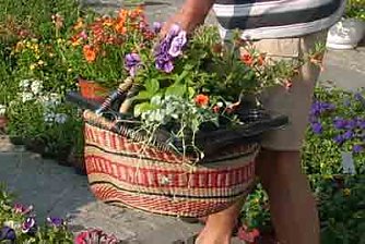 Pflanzenmarkt am Sonntag (Foto: Karl-Heinz Herrmann)