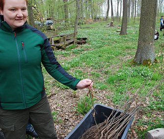 Forstingenieurin Kathrin Jakob verteilte die Roteichen. Die Fachfrau beantwortete viele Fragen interessierter Waldfreunde. (Foto: Jochen Miche)
